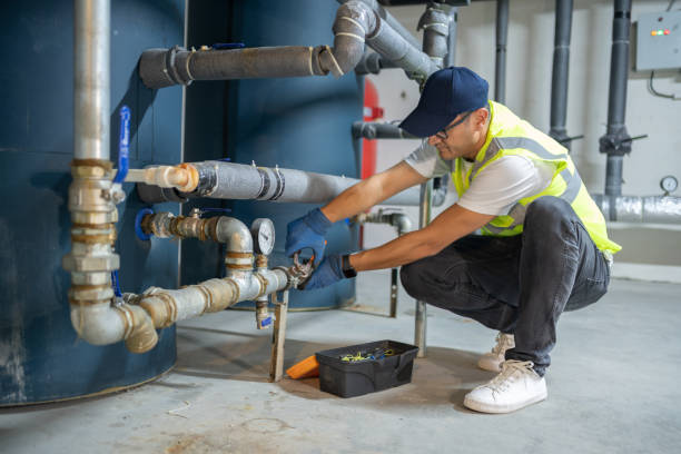 Best Trenchless Pipe Repair  in Hawthorne, FL